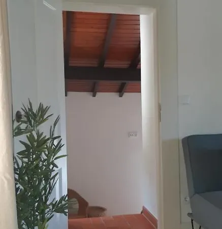 Casa Do General Βίλα Afife